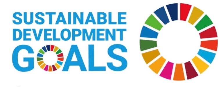 sdgs